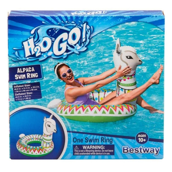 New Pool Float - Picture 2 of 6